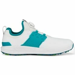 Puma Ignite Articulate Disc Golf Shoes White/Silver/Green Lagoon -Shoes Popular Store puma ignite articulate disc white silver green lagoon 376079 08 profile2 itempicture
